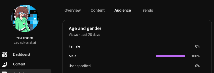 audience statistics for my akari solves channel, 100% male viewers