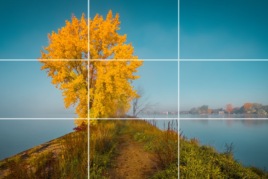 an example of the rule of thirds in photography